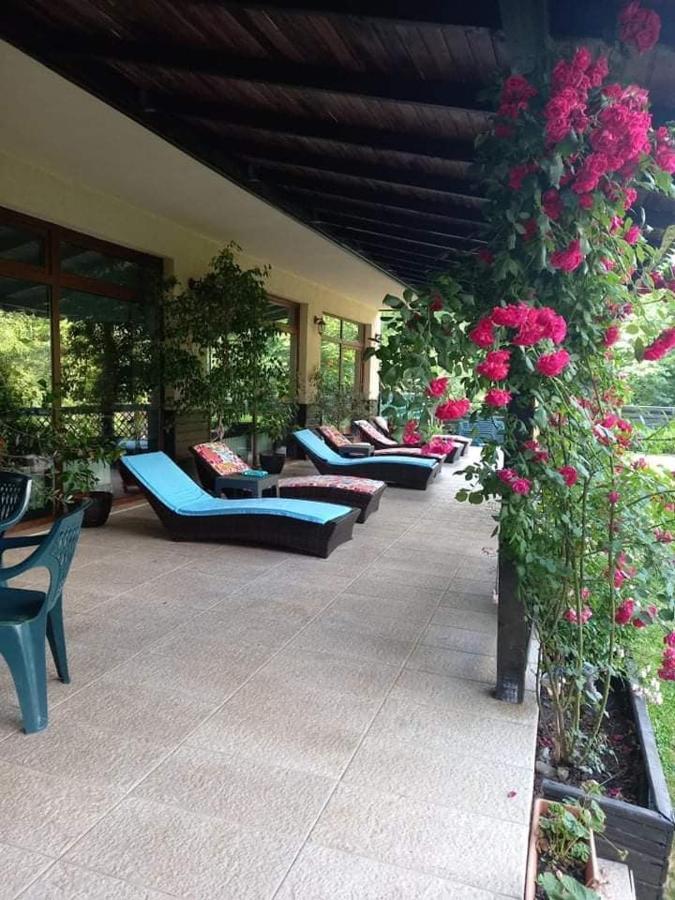 Casa Luce - Camere De Inchiriat Busteni Luaran gambar